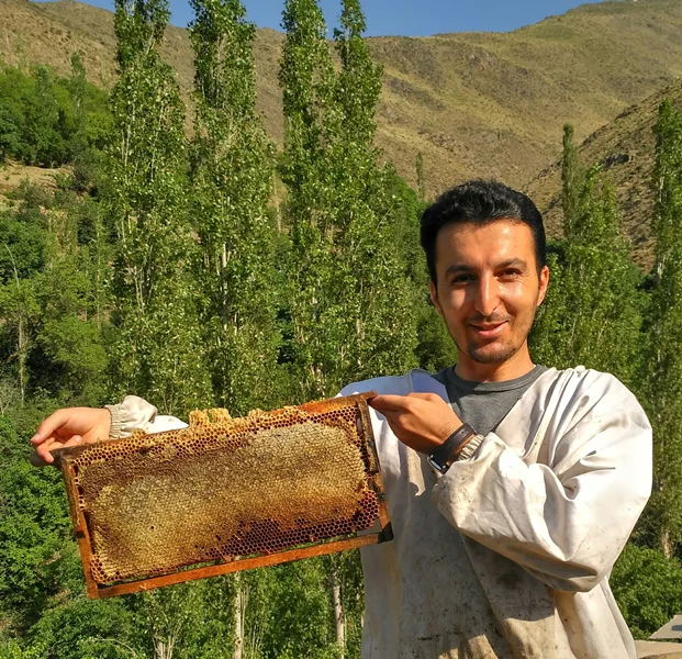 یادگیری زنبورداری | باران در کوهستان