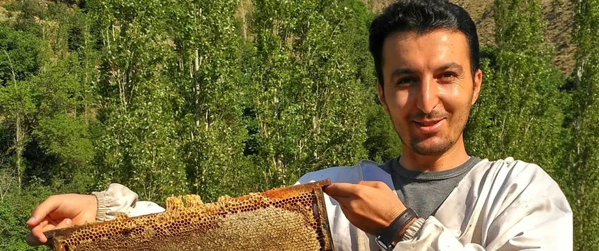 تجربه‌نگاری یادگیری زنبورداری | باران در کوهستان